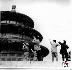 Знищення горобців (Китай, 1958-59г.)