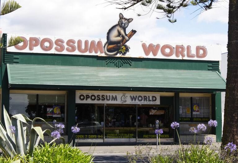 Єдиний у світі музей, що пропагує знищення тварин: Opossum World
