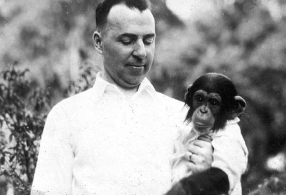 Уінтроп Келлог і шимпанзе Гуа