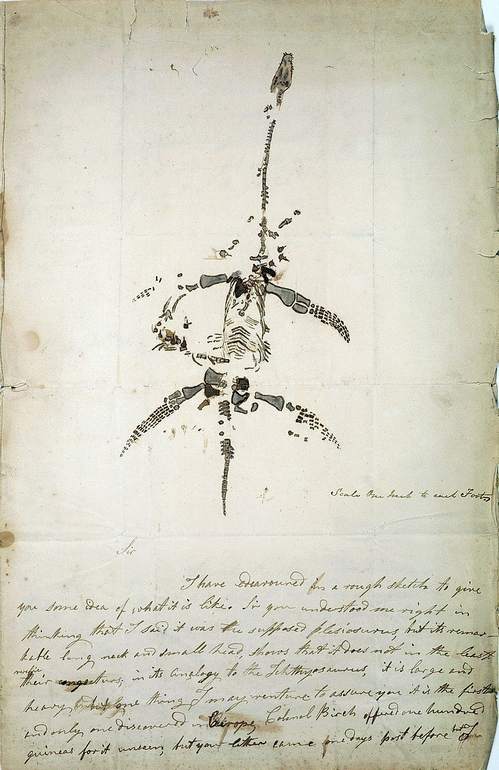 Лист Мері Еннінг з малюнком плезіозавра