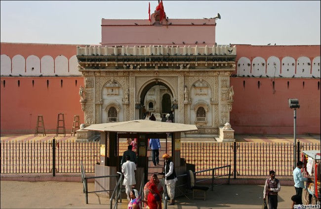 Храм Карні Мата в Індії