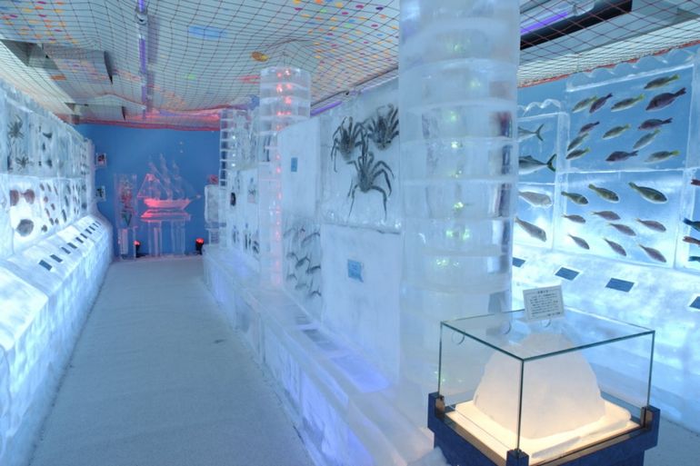 Крижаний акваріум Suizokukan Ice Aquarium у Кесеннума - експозиція