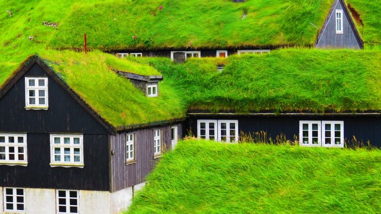 Дерновий дах, зелений дах, трав'яний дах