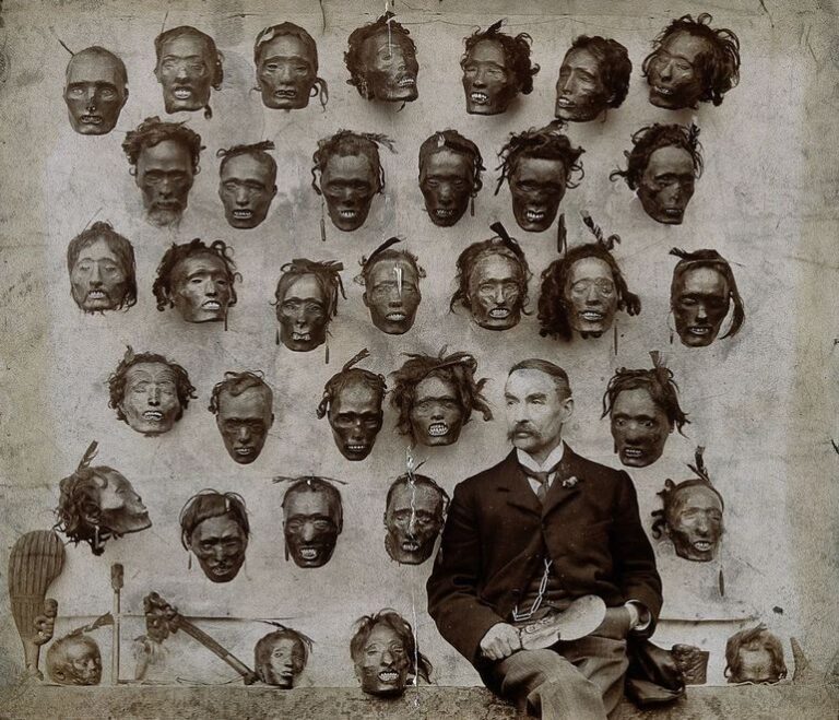 Мокомокаї: татуйовані голови маорі та мушкетні війни