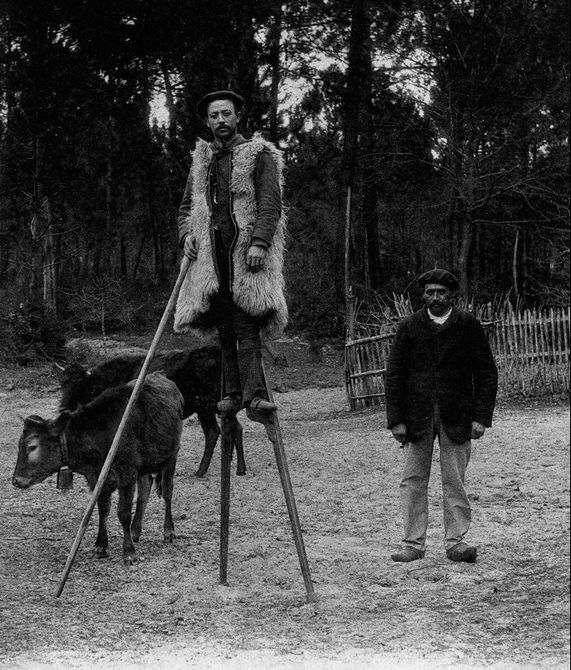 Ландський вівчар на ходулях, 1930
