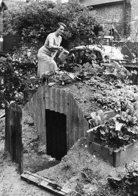 Мешканка південного Лондона поливає овочі, висаджені на даху свого "укриття Андерсон"