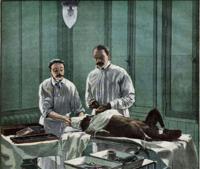 Сергій Воронов та його асистент проводять операцію на собаці в лабораторії Колеж де Франс. Фото: "Le Petit Journal", 22 жовтня 1922 року