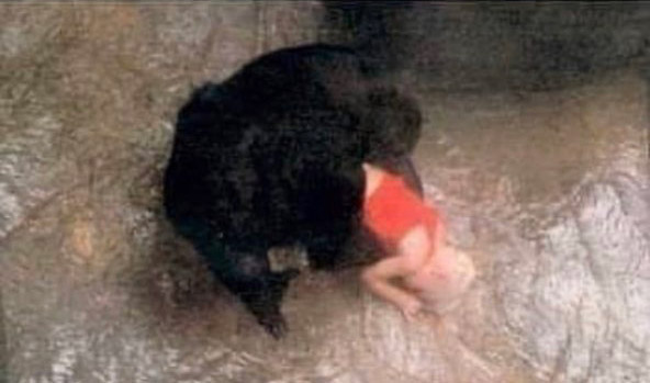 Горила Бінті Джуа (Binti Jua) рятує хлопчика в вольєрі, 1996 рік